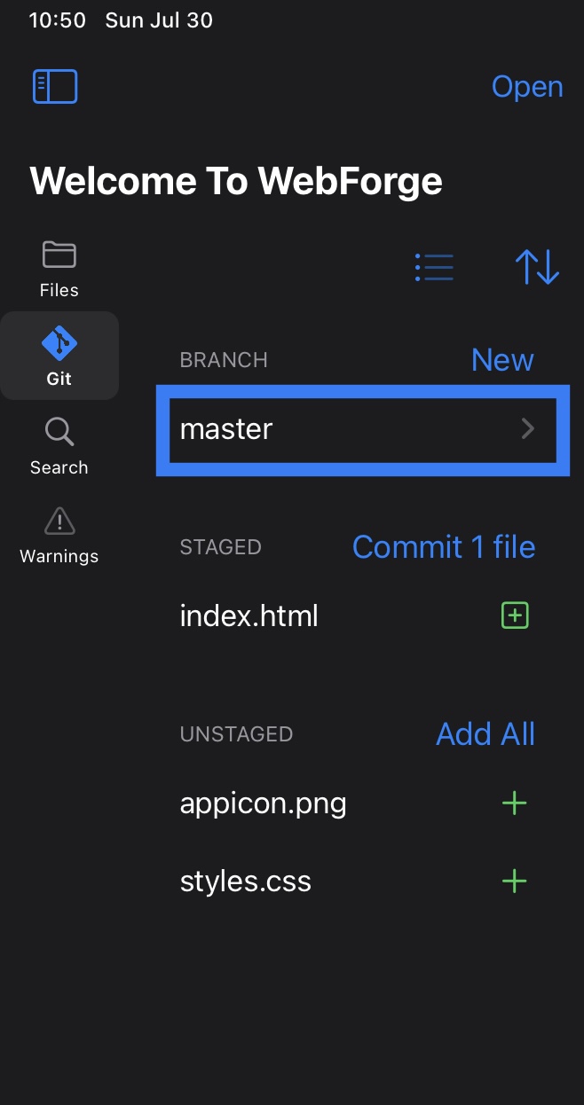 Screenshot of the Git panel with a box highlighting the Branch section