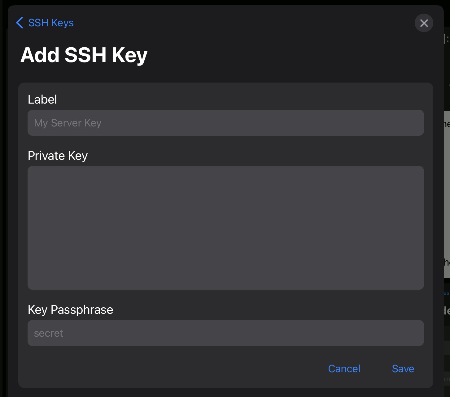 Screenshot of the Git new SSH key configuration screen.